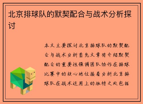北京排球队的默契配合与战术分析探讨